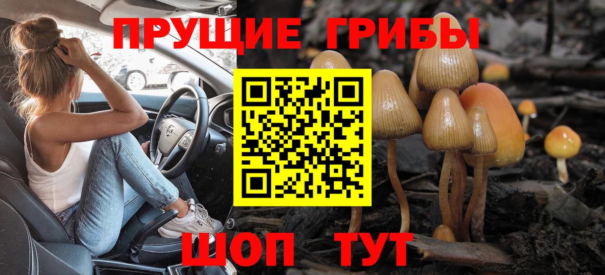 Галлюциногенные грибы MAGIC MUSHROOMS Шахты
