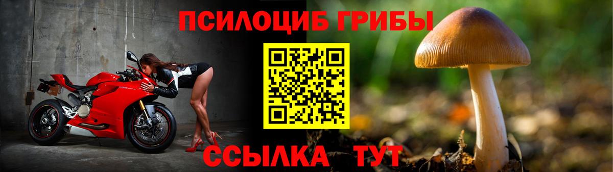 Шахты  Псилоцибиновые грибы ЛСД  Псилоцибиновые грибы мухоморы  Вход с VPN 