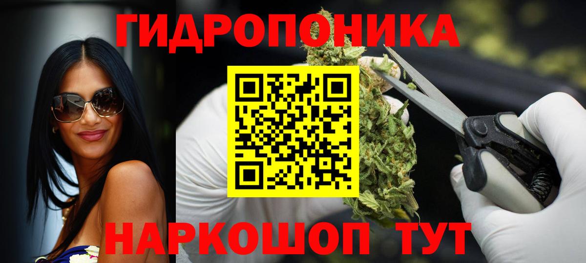 Бошки марихуана гибрид Шахты